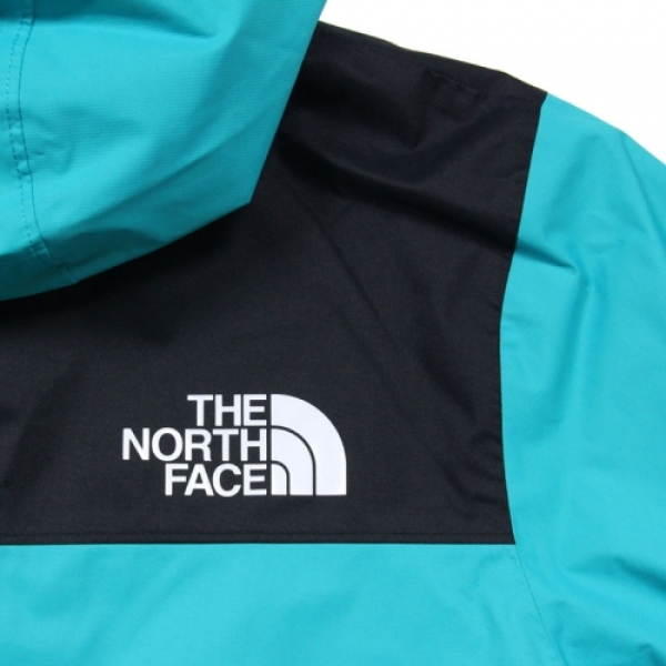 M 1990 MOUNTAIN Q JACKET NF0A2S51 ジャケット マウンテンパーカー